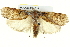  ( - BIOUG05165-G10)  @12 [ ] CreativeCommons - Attribution (2013) CBG Photography Group Centre for Biodiversity Genomics