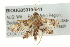  ( - BIOUG05319-E11)  @13 [ ] CreativeCommons - Attribution (2013) CBG Photography Group Centre for Biodiversity Genomics