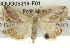  ( - BIOUG05319-F01)  @14 [ ] CreativeCommons - Attribution (2013) CBG Photography Group Centre for Biodiversity Genomics