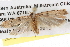  ( - BIOUG08826-C04)  @12 [ ] CreativeCommons - Attribution (2013) CBG Photography Group Centre for Biodiversity Genomics
