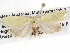  ( - BIOUG08826-E01)  @14 [ ] CreativeCommons - Attribution (2013) CBG Photography Group Centre for Biodiversity Genomics