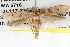  ( - BIOUG08826-E04)  @12 [ ] CreativeCommons - Attribution (2013) CBG Photography Group Centre for Biodiversity Genomics