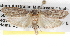  ( - BIOUG08826-H09)  @12 [ ] CreativeCommons - Attribution (2013) CBG Photography Group Centre for Biodiversity Genomics