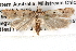 ( - BIOUG08827-G04)  @13 [ ] CreativeCommons - Attribution (2013) CBG Photography Group Centre for Biodiversity Genomics