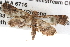  ( - BIOUG08829-C02)  @13 [ ] CreativeCommons - Attribution (2013) CBG Photography Group Centre for Biodiversity Genomics