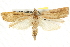  ( - BIOUG08996-B05)  @14 [ ] CreativeCommons - Attribution (2013) CBG Photography Group Centre for Biodiversity Genomics