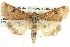  ( - BIOUG08996-C03)  @14 [ ] CreativeCommons - Attribution (2013) CBG Photography Group Centre for Biodiversity Genomics