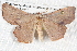  ( - BIOUG09010-A02)  @13 [ ] CreativeCommons - Attribution (2013) CBG Photography Group Centre for Biodiversity Genomics