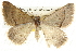  ( - BIOUG09010-D10)  @14 [ ] CreativeCommons - Attribution (2013) CBG Photography Group Centre for Biodiversity Genomics