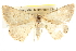  ( - BIOUG09010-E01)  @13 [ ] CreativeCommons - Attribution (2013) CBG Photography Group Centre for Biodiversity Genomics