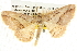  ( - BIOUG09010-E03)  @13 [ ] CreativeCommons - Attribution (2013) CBG Photography Group Centre for Biodiversity Genomics