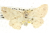  ( - BIOUG09010-E07)  @14 [ ] CreativeCommons - Attribution (2013) CBG Photography Group Centre for Biodiversity Genomics