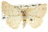  ( - BIOUG09010-E09)  @13 [ ] CreativeCommons - Attribution (2013) CBG Photography Group Centre for Biodiversity Genomics