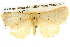  ( - BIOUG09010-G04)  @15 [ ] CreativeCommons - Attribution (2013) CBG Photography Group Centre for Biodiversity Genomics