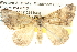  ( - BIOUG09010-H07)  @15 [ ] CreativeCommons - Attribution (2013) CBG Photography Group Centre for Biodiversity Genomics