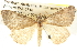 ( - BIOUG09010-H08)  @13 [ ] CreativeCommons - Attribution (2013) CBG Photography Group Centre for Biodiversity Genomics