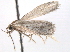  ( - BIOUG09011-B08)  @12 [ ] CreativeCommons - Attribution (2013) CBG Photography Group Centre for Biodiversity Genomics