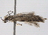  ( - BIOUG09011-F04)  @12 [ ] CreativeCommons - Attribution (2013) CBG Photography Group Centre for Biodiversity Genomics
