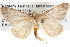  ( - BIOUG09012-A03)  @14 [ ] CreativeCommons - Attribution (2013) CBG Photography Group Centre for Biodiversity Genomics