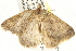  ( - BIOUG09012-B02)  @13 [ ] CreativeCommons - Attribution (2013) CBG Photography Group Centre for Biodiversity Genomics