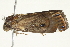  ( - BIOUG11096-D07)  @13 [ ] CreativeCommons - Attribution (2014) CBG Photography Group Centre for Biodiversity Genomics