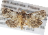  ( - BIOUG11096-G08)  @14 [ ] CreativeCommons - Attribution (2014) CBG Photography Group Centre for Biodiversity Genomics