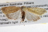  ( - BIOUG11096-H04)  @14 [ ] CreativeCommons - Attribution (2014) CBG Photography Group Centre for Biodiversity Genomics