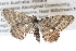  ( - BIOUG11097-A02)  @13 [ ] CreativeCommons - Attribution (2014) CBG Photography Group Centre for Biodiversity Genomics