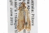  ( - BIOUG11097-B05)  @12 [ ] CreativeCommons - Attribution (2014) CBG Photography Group Centre for Biodiversity Genomics