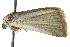  ( - BIOUG11097-B06)  @13 [ ] CreativeCommons - Attribution (2014) CBG Photography Group Centre for Biodiversity Genomics