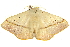  ( - BIOUG11097-D03)  @14 [ ] CreativeCommons - Attribution (2014) CBG Photography Group Centre for Biodiversity Genomics
