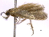  ( - BIOUG11098-A08)  @12 [ ] CreativeCommons - Attribution (2014) CBG Photography Group Centre for Biodiversity Genomics