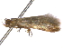  ( - BIOUG11098-B12)  @13 [ ] CreativeCommons - Attribution (2014) CBG Photography Group Centre for Biodiversity Genomics