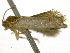  ( - BIOUG11098-C07)  @12 [ ] CreativeCommons - Attribution (2014) CBG Photography Group Centre for Biodiversity Genomics