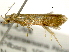  ( - BIOUG11098-C08)  @12 [ ] CreativeCommons - Attribution (2014) CBG Photography Group Centre for Biodiversity Genomics