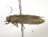  ( - BIOUG11098-E02)  @12 [ ] CreativeCommons - Attribution (2014) CBG Photography Group Centre for Biodiversity Genomics