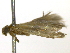  ( - BIOUG11098-E10)  @12 [ ] CreativeCommons - Attribution (2014) CBG Photography Group Centre for Biodiversity Genomics