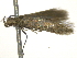  ( - BIOUG11098-F06)  @12 [ ] CreativeCommons - Attribution (2014) CBG Photography Group Centre for Biodiversity Genomics