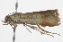  ( - BIOUG11099-C01)  @12 [ ] CreativeCommons - Attribution (2014) CBG Photography Group Centre for Biodiversity Genomics