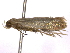  ( - BIOUG11099-E06)  @12 [ ] CreativeCommons - Attribution (2014) CBG Photography Group Centre for Biodiversity Genomics