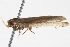  ( - BIOUG11099-E07)  @12 [ ] CreativeCommons - Attribution (2014) CBG Photography Group Centre for Biodiversity Genomics