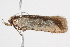  ( - BIOUG11099-F09)  @12 [ ] CreativeCommons - Attribution (2014) CBG Photography Group Centre for Biodiversity Genomics