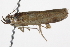  ( - BIOUG11099-H05)  @12 [ ] CreativeCommons - Attribution (2014) CBG Photography Group Centre for Biodiversity Genomics