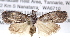  ( - BIOUG11880-B12)  @14 [ ] CreativeCommons - Attribution (2014) CBG Photography Group Centre for Biodiversity Genomics