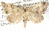  ( - BIOUG11880-G09)  @13 [ ] CreativeCommons - Attribution (2014) CBG Photography Group Centre for Biodiversity Genomics