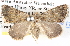  ( - BIOUG11880-H01)  @14 [ ] CreativeCommons - Attribution (2014) CBG Photography Group Centre for Biodiversity Genomics