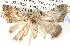  ( - BIOUG11881-A05)  @13 [ ] CreativeCommons - Attribution (2014) CBG Photography Group Centre for Biodiversity Genomics