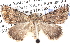  ( - BIOUG11881-B02)  @14 [ ] CreativeCommons - Attribution (2014) CBG Photography Group Centre for Biodiversity Genomics