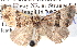  ( - BIOUG11881-B03)  @14 [ ] CreativeCommons - Attribution (2014) CBG Photography Group Centre for Biodiversity Genomics