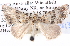  ( - BIOUG11881-B05)  @14 [ ] CreativeCommons - Attribution (2014) CBG Photography Group Centre for Biodiversity Genomics